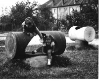 /album/fotogalerie/katalog13-jpg/